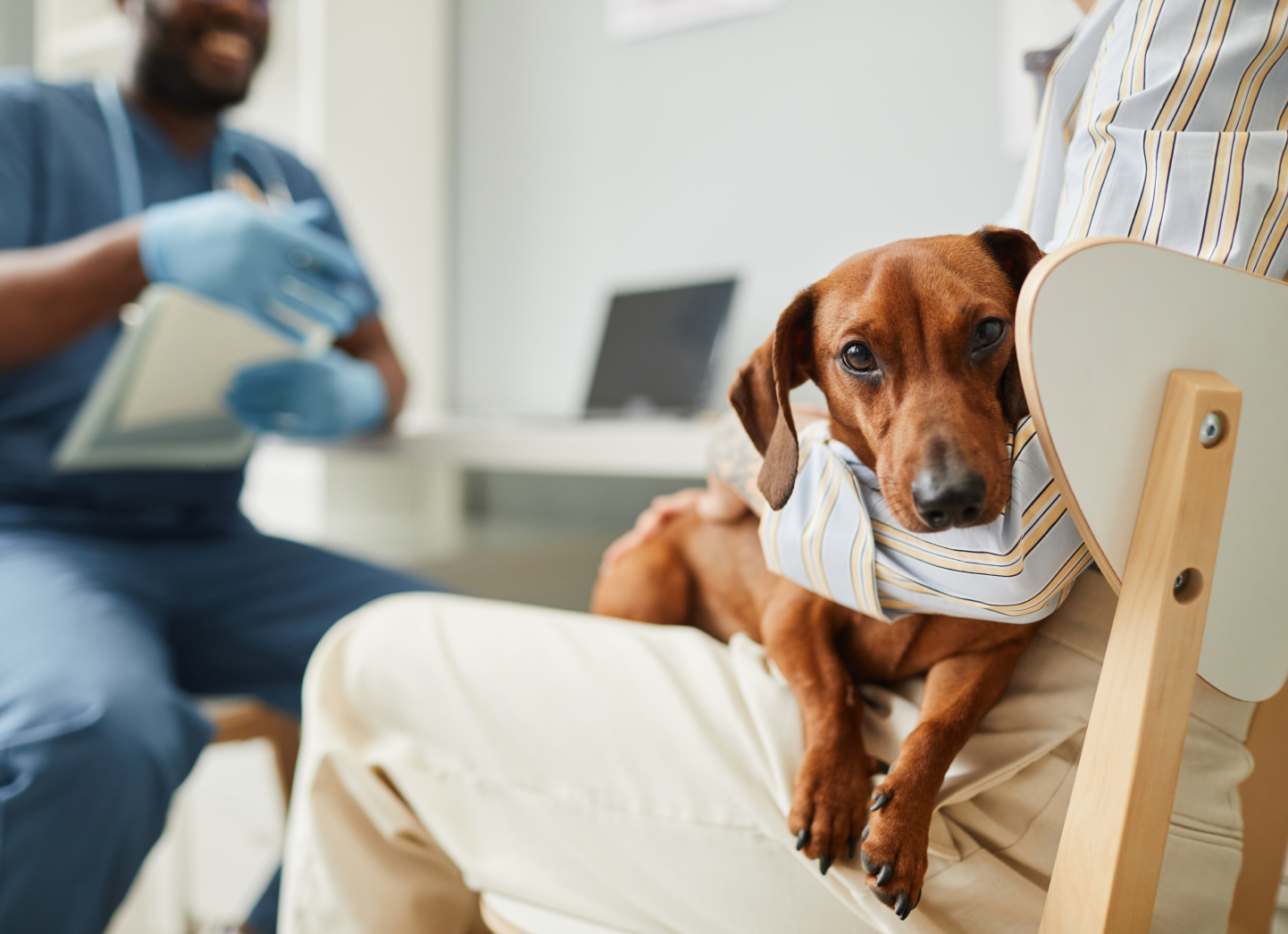 Vetscan Imagyst AI Dermatology Zoetis