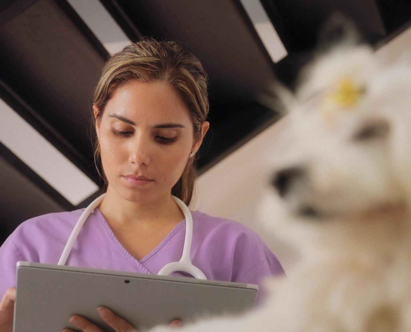 Zoetis Virtual Laboratory Anytime Support Zoetis