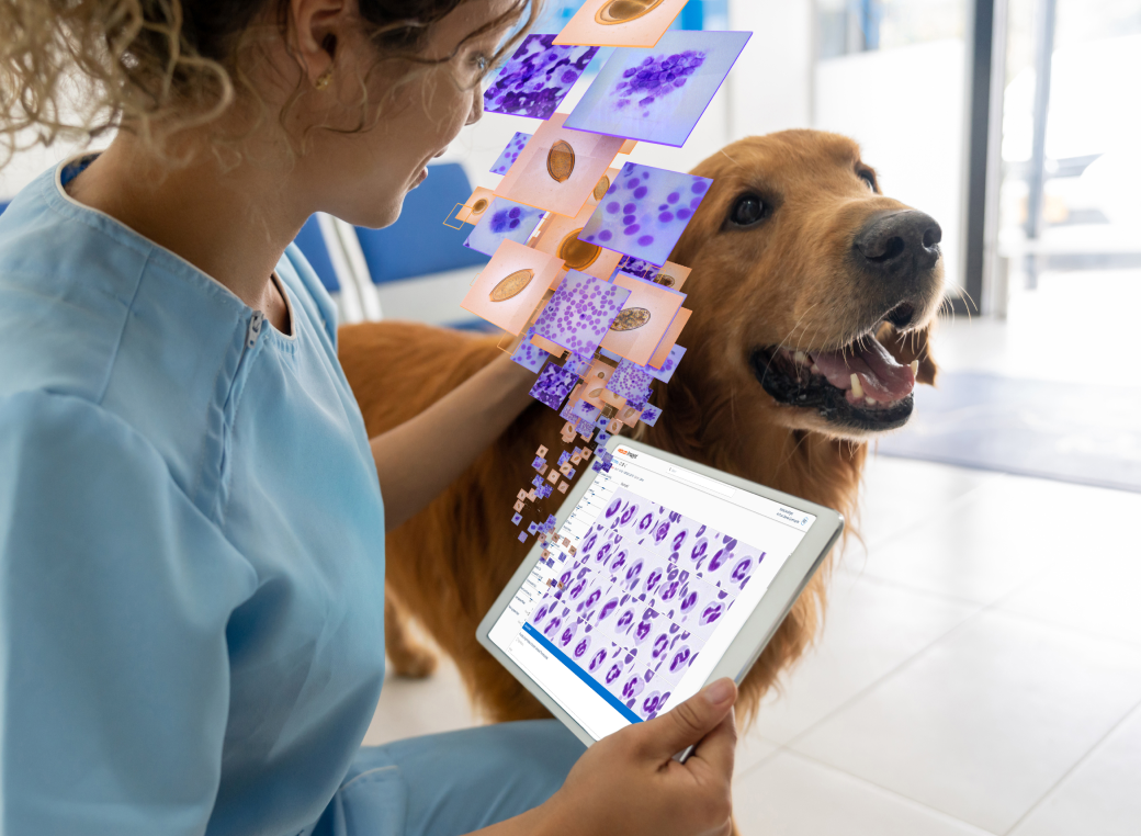 Zoetis Virtual Laboratory Anytime Support Zoetis