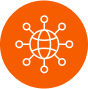 network-icon